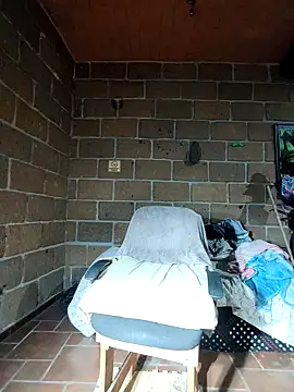 ELvergon 21CM online show from October 22, 7:52 am