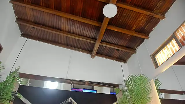 emily-fox online show from March 26, 1:28 pm