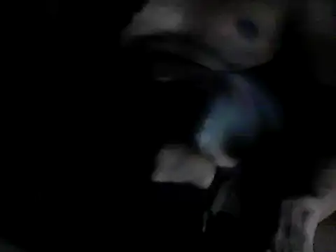 GRATEFUL16 online show from February 6, 7:40 pm