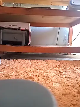 poloplayer123 online show from February 13, 2:02 pm