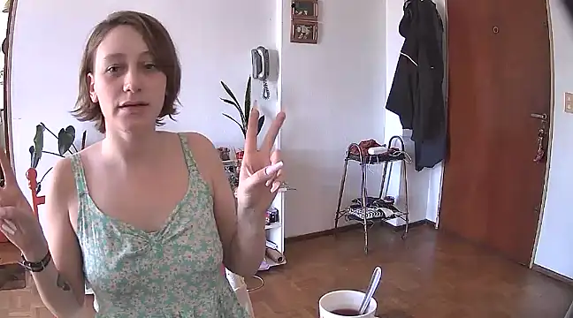 stupid babybird online show from December 28, 5:46 pm