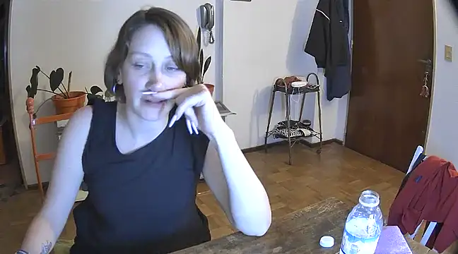 stupid babybird online show from December 29, 5:10 am