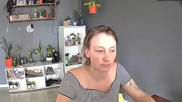 stupid babybird online show from February 28, 7:03 pm