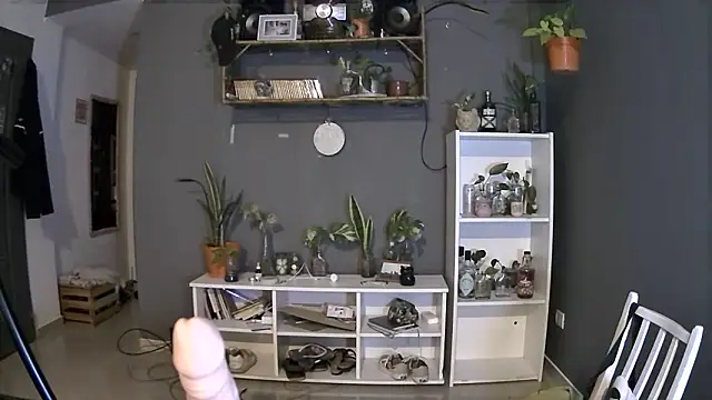 stupid babybird online show from March 4, 1:23 am