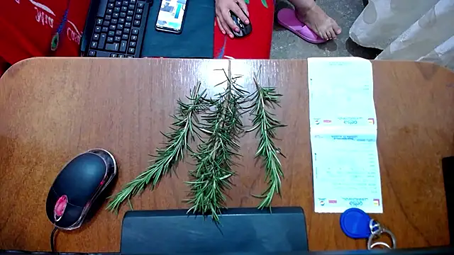 Snapshot of Malaya88 chatting on February 16, 4:42 pm Malaya88 online show from February 16, 4:42 pm