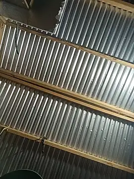 Snapshot of Babyboyy803 chatting on February 27, 10:48 am Babyboyy803 online show from February 27, 10:48 am