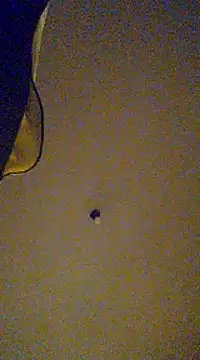 gala2 online show from February 13, 8:06 am