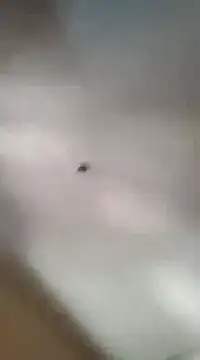 gala2 online show from March 5, 6:01 pm