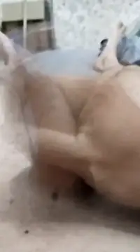 quierodarleche69 online show from January 20, 3:26 am