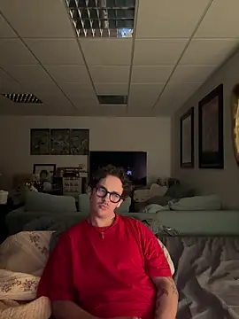 Snapshot of hardmecl chatting on December 5, 9:17 pm hardmecl online show from December 5, 9:17 pm