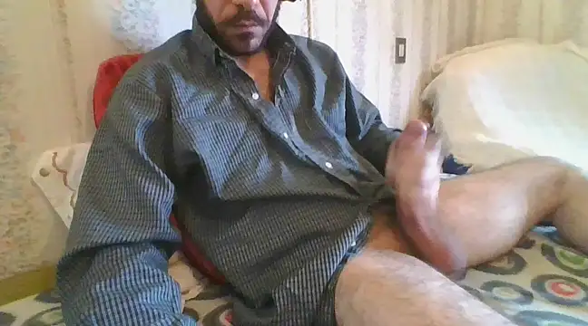 tozebrito hd online show from February 9, 9:37 am
