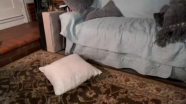 Snapshot of Dark_Asteroid chatting on February 20, 12:38 pm Dark Asteroid online show from February 20, 12:38 pm