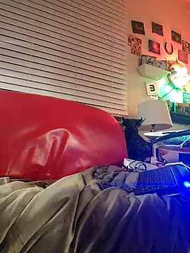 kochanekczek online show from February 19, 5:36 am