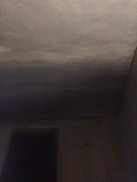 ChantalXOrchid online show from April 15, 12:06 am