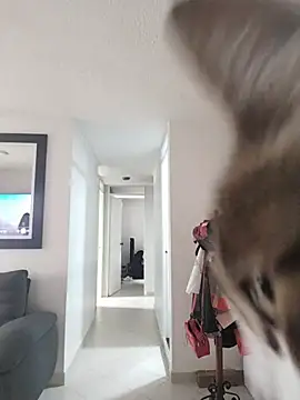 Carabina1991 online show from July 23, 3:54 pm