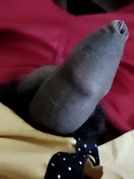 Snapshot of Ashish02345 chatting on December 6, 6:50 pm Ashish02345 online show from December 6, 6:50 pm