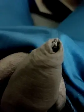 Snapshot of Ashish02345 chatting on January 28, 8:58 pm Ashish02345 online show from January 28, 8:58 pm