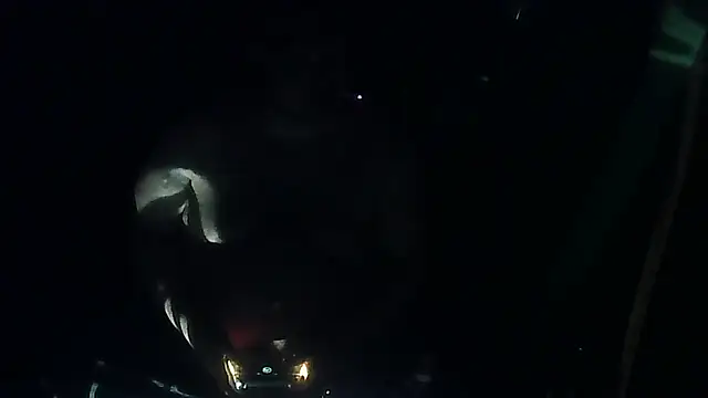 perversalus online show from March 12, 5:08 pm