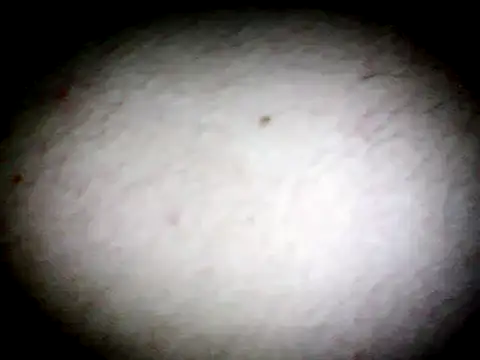 anald66666 online show from January 13, 7:43 am