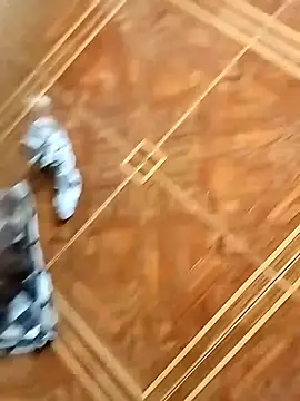 socrathes online show from February 26, 12:26 pm