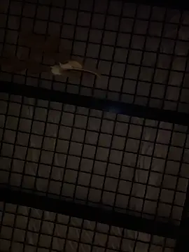 Snapshot of SexyB214 chatting on December 14, 12:44 pm SexyB214 online show from December 14, 12:44 pm