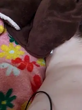 Adee21e online show from December 3, 2:15 pm