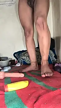 trans511 online show from November 27, 3:25 pm