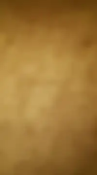 vinzpnr210 online show from January 15, 11:10 am