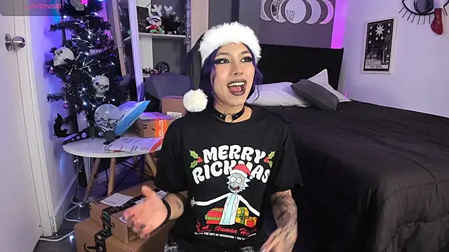 Snapshot of Raven_Witch_ chatting on December 24, 8:38 pm Raven Witch online show from December 24, 8:38 pm