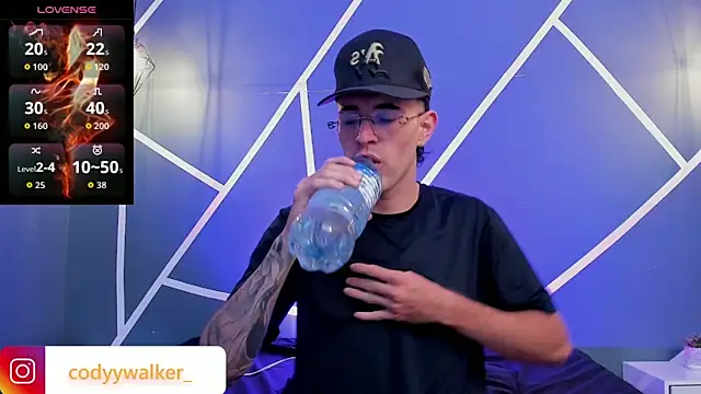 Snapshot of CodyWalkerR chatting on April 22, 11:28 pm CodyWalkerR online show from April 22, 11:28 pm