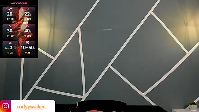 Snapshot of CodyWalkerR chatting on April 25, 11:24 pm CodyWalkerR online show from April 25, 11:24 pm