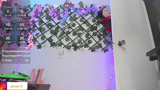Pucaa  online show from December 20, 4:53 am