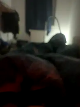 habbockwiesau online show from November 24, 10:09 pm