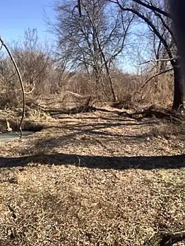 Boysex227 online show from March 8, 8:11 am