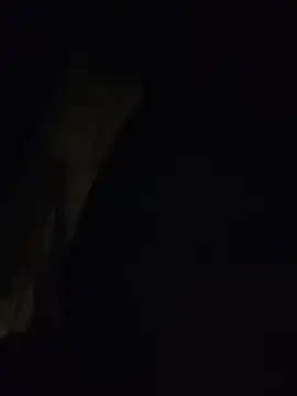 Boysex227 online show from November 14, 6:06 pm