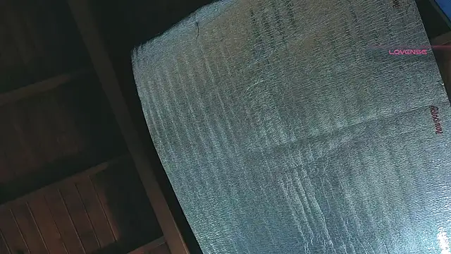 SilvaBranko online show from April 13, 1:11 am