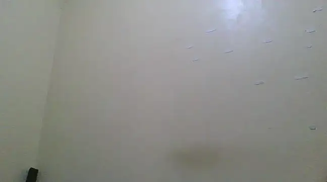 the geisha 2021k online show from March 13, 6:45 pm