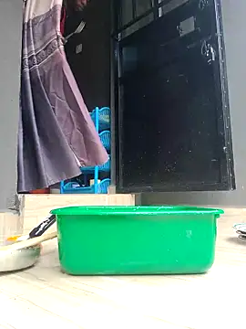 Javan  online show from March 22, 10:18 am