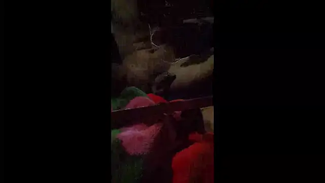 008Alexan online show from April 22, 3:31 am