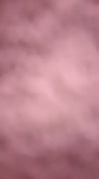 chalaHot online show from December 21, 11:24 pm