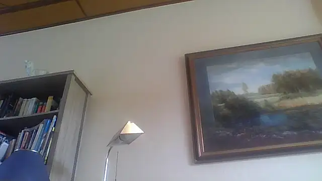 Snapshot of Alain-Bertrand chatting on April 16, 10:05 am Alain-Bertrand online show from April 16, 10:05 am