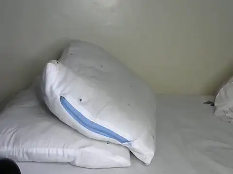 Novah  online show from April 8, 1:38 am