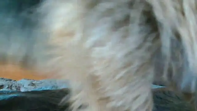 Snapshot of Andra_Love chatting on May 24, 7:08 pm Andra Love online show from May 24, 7:08 pm