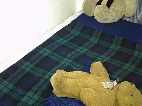 Snapshot of squirtty_booty chatting on February 22, 7:58 pm squirtty booty online show from February 22, 7:58 pm