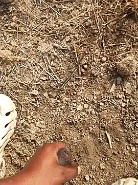 Snapshot of Ajith_mvi chatting on February 18, 3:35 am Ajith mvi online show from February 18, 3:35 am