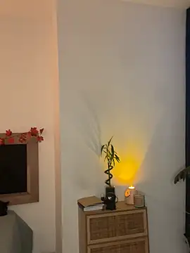 Snapshot of Susi_bell chatting on January 17, 11:18 pm Susi bell online show from January 17, 11:18 pm