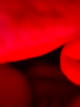 vulgovic  online show from June 5, 6:52 am