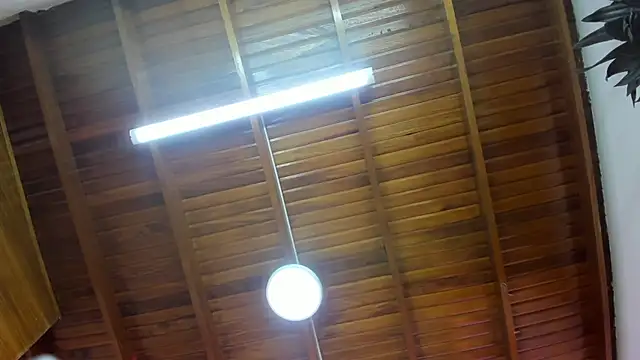 Levy Steve online show from November 26, 6:36 am