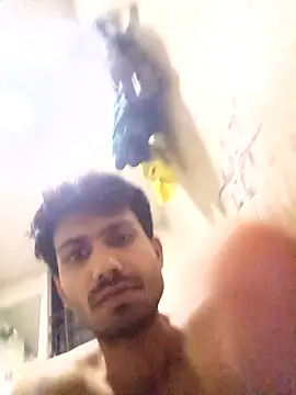 Snapshot of nikshows chatting on October 2, 3:08 pm nikshows online show from October 2, 3:08 pm