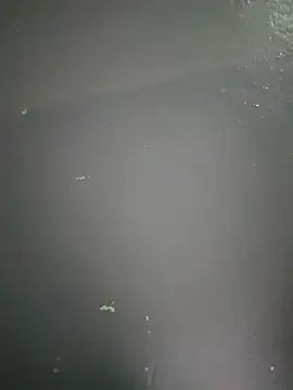 kamasutra20 online show from December 19, 1:01 am